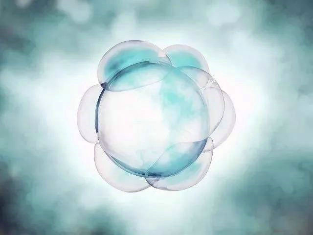 ԇ܋냺̥B(yng)
